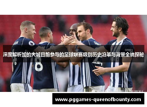 深度解析加的夫城目前参与的足球联赛级别历史沿革与背景全貌探秘