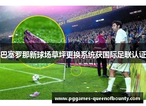 巴塞罗那新球场草坪更换系统获国际足联认证