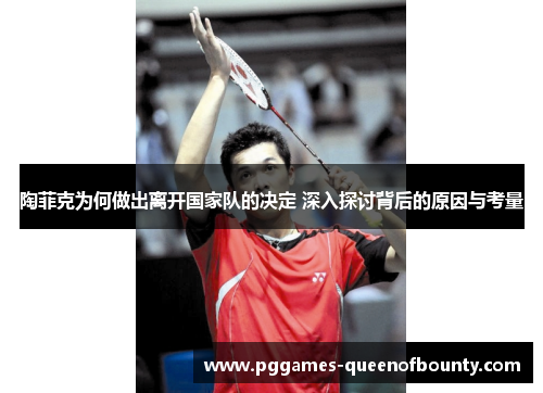 陶菲克为何做出离开国家队的决定 深入探讨背后的原因与考量